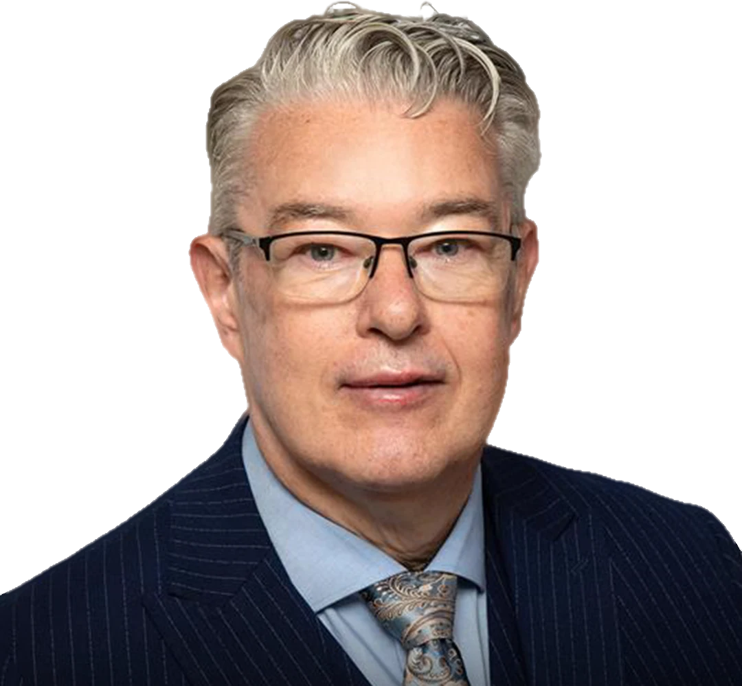 NetSuite Lead Consultant