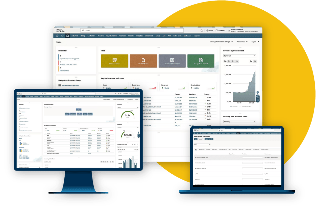 NetSuite Beratung